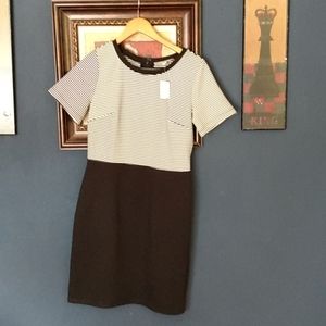 Ann Taylor loft ladies dress size 4